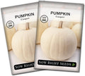 Sow Right Seeds - Casper Pumpkin Seed for Planting - Non-GMO Heirloom Packet with Instructions to Plant a Home Vegetable Garden - Striking White Variety - Autumn Decor or Unique Jack o Lanterns (1)(2)