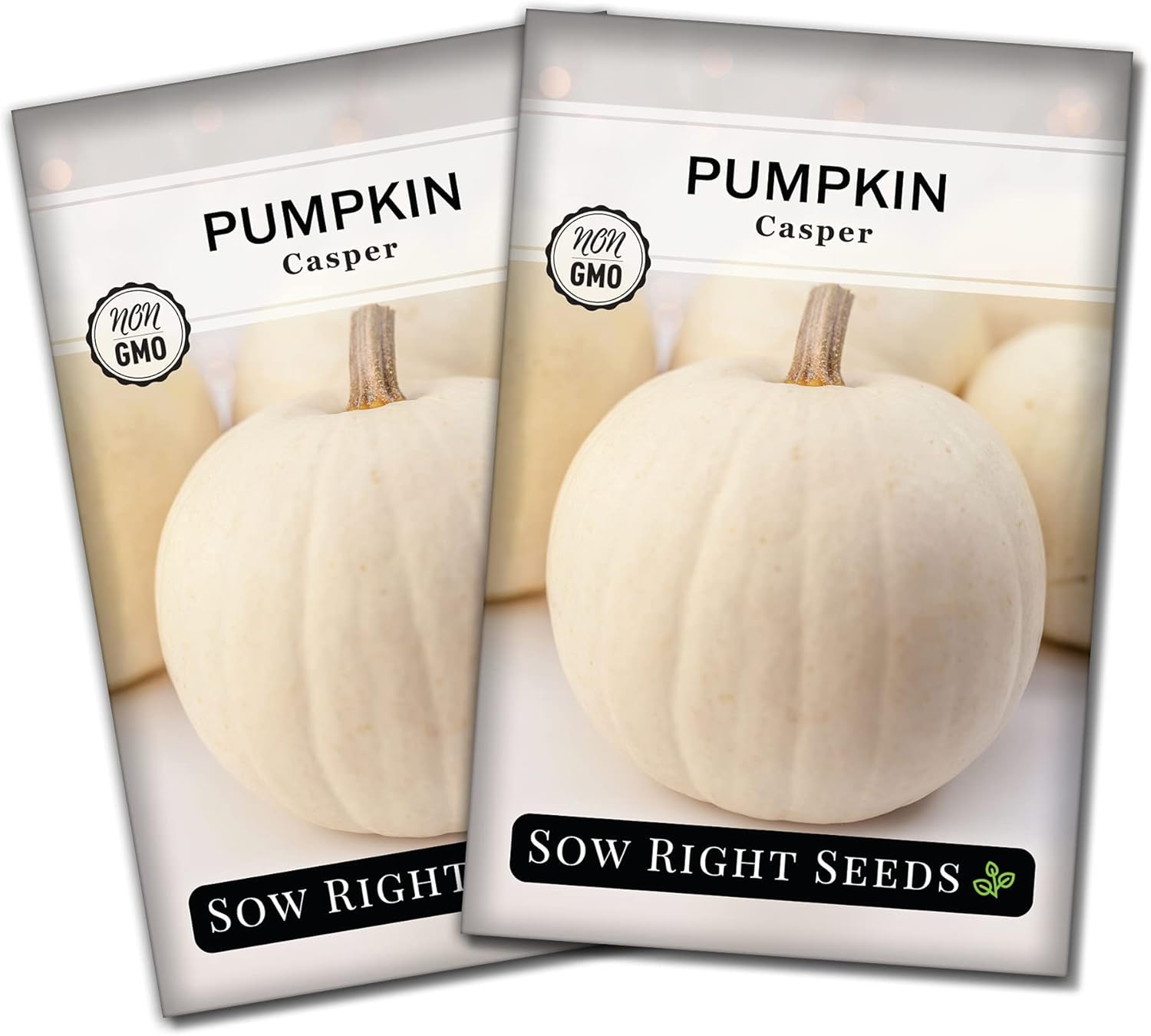 Sow Right Seeds - Casper Pumpkin Seed for Planting - Non-GMO Heirloom Packet with Instructions to Plant a Home Vegetable Garden - Striking White Variety - Autumn Decor or Unique Jack o Lanterns (1)(2)