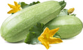 Summer Squash, Zucchini Grey Seeds(4 grams)