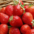 300PCS Giant Strawberry Seeds Everbearing Fragaria Fruit Seeds