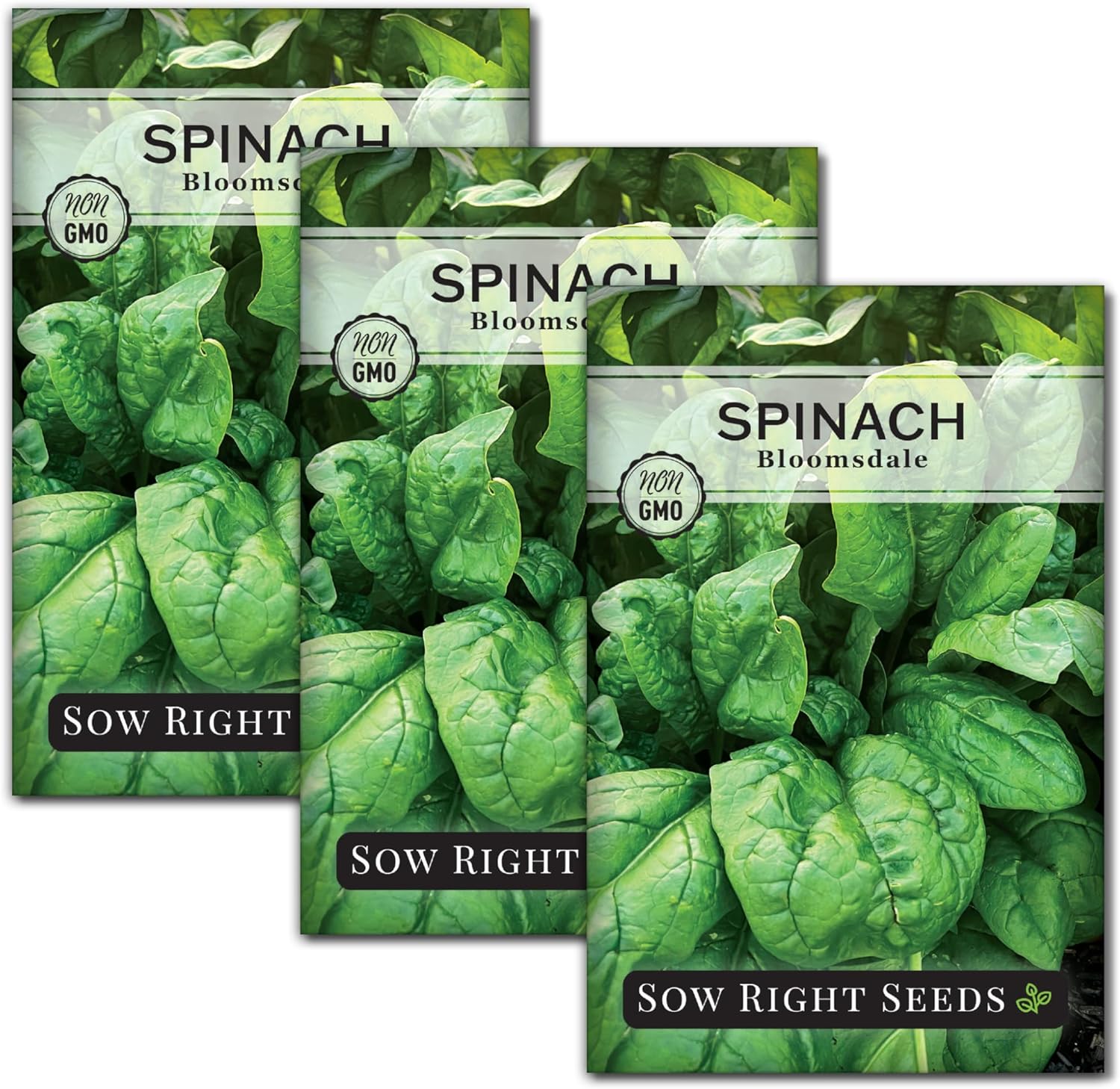 Sow Right Seeds - Bloomsdale Spinach Seeds for Planting - Ideal for Outdoor or Indoor Gardens - Non-GMO Heirloom Variety - Grow Nutritious Leafy Greens at Home - Perfect for Salads and Cooking (1)(3 Standard Packets)