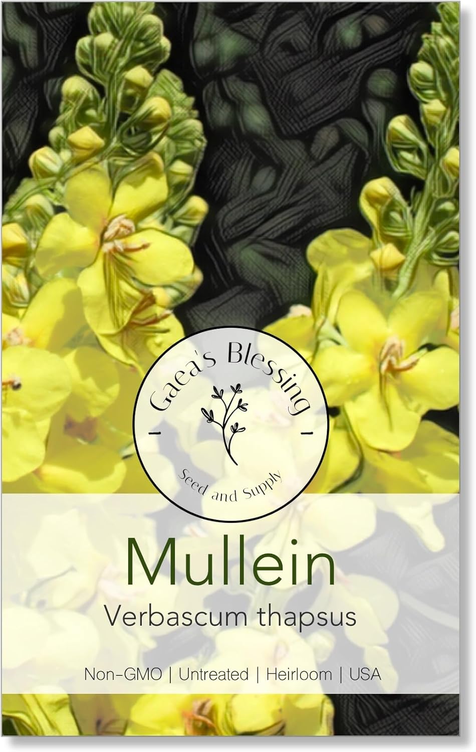 Gaea's Blessing Seeds - Mullein Seeds - Non-GMO Herb Seeds with Easy to Follow Instructions, Heirloom, Open-Pollinated, Untreated