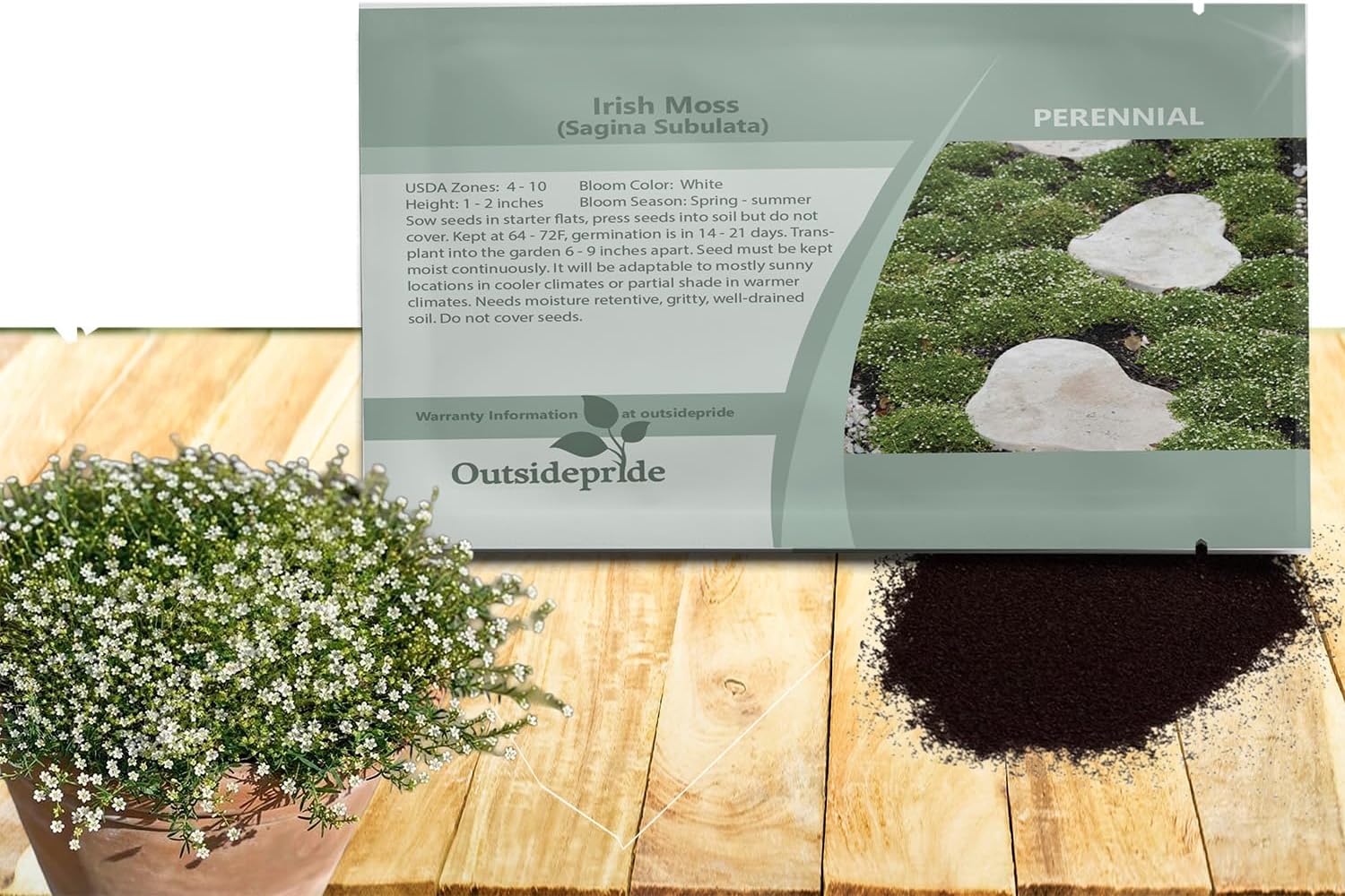 Outsidepride Irish Moss Ground Cover Seeds - 10000 Pcs Perennial Low Growing, Mat-Forming Lawn Alternative, Outdoor Ground Cover Seeds with Shade Tolerance, Ideal for Pathways and Rock Gardens(5000 Seeds)