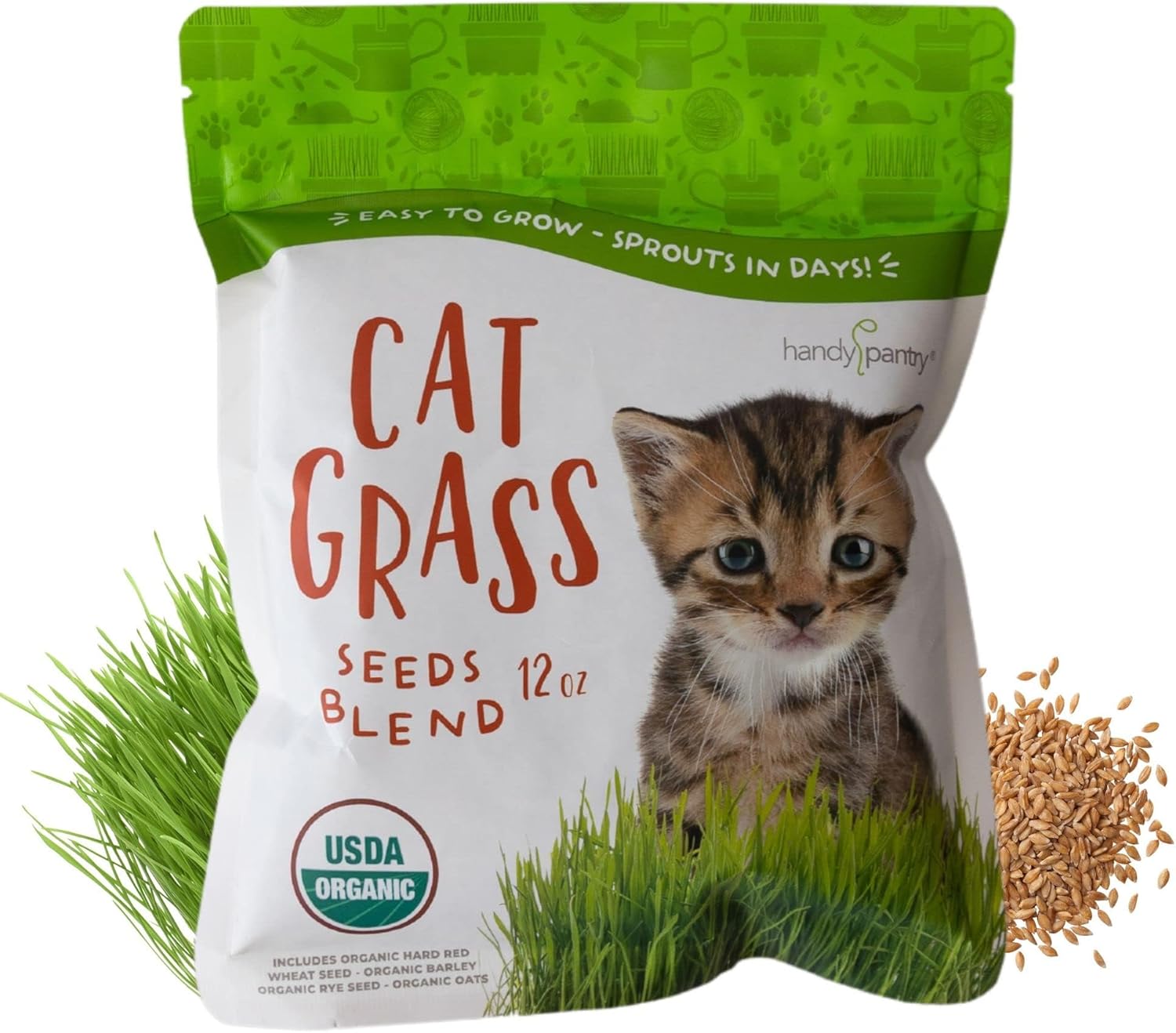 Organic Cat Grass Seed Blend for Planting – 12 oz – Wheat (Triticum aestivum), Barley (Hordeum vulgare), Oats (Avena sativa), and Rye (Secale cereale) Seeds – Non-GMO Grass Seed Mix for Pets