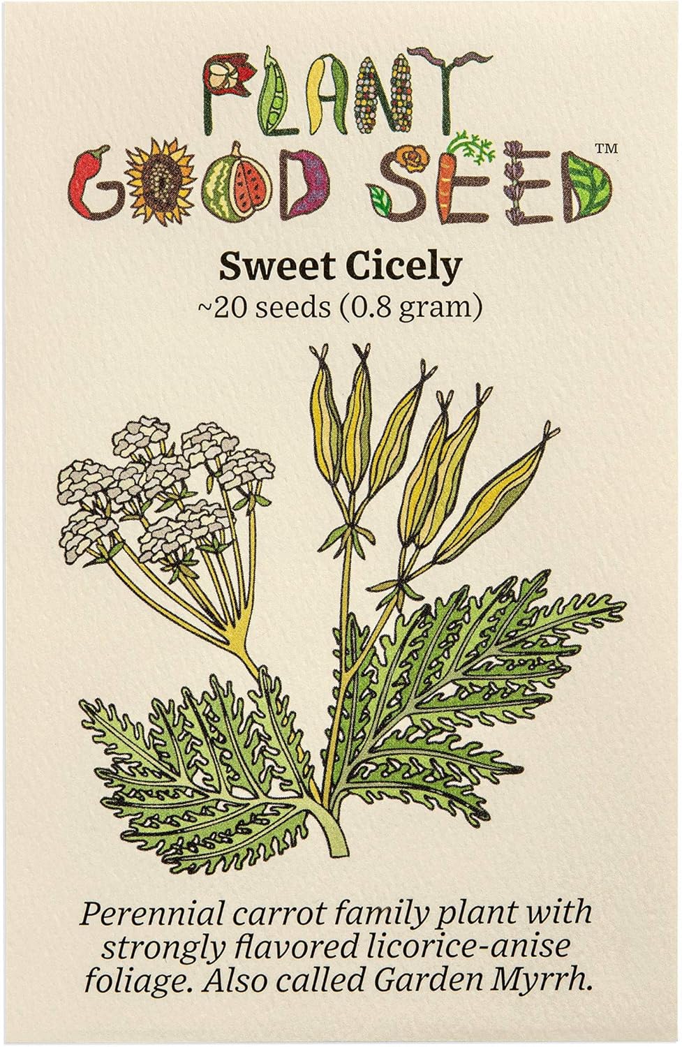 Plant Good Seed Sweet Cicely/Garden Myrrh Seeds for Planting: Licorice Anise Flavored Herb, Creamy White Umbel Flowers - 20 Seed Packet